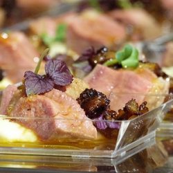 Disposable Plates