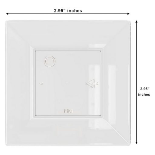 clear mini tasting plate