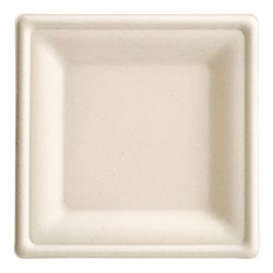 bagasse plate