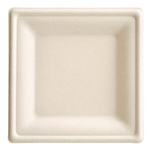 bagasse plate